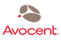 Avocent