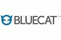 BlueCat