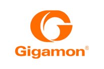 Gigamon Gigamon