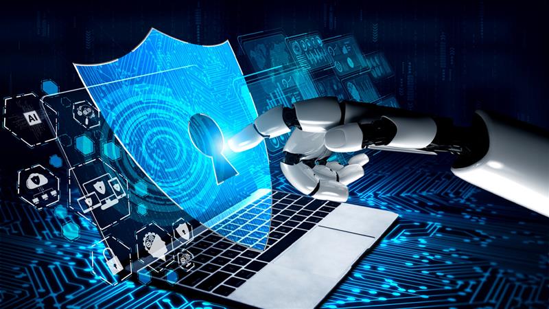 cyber defense