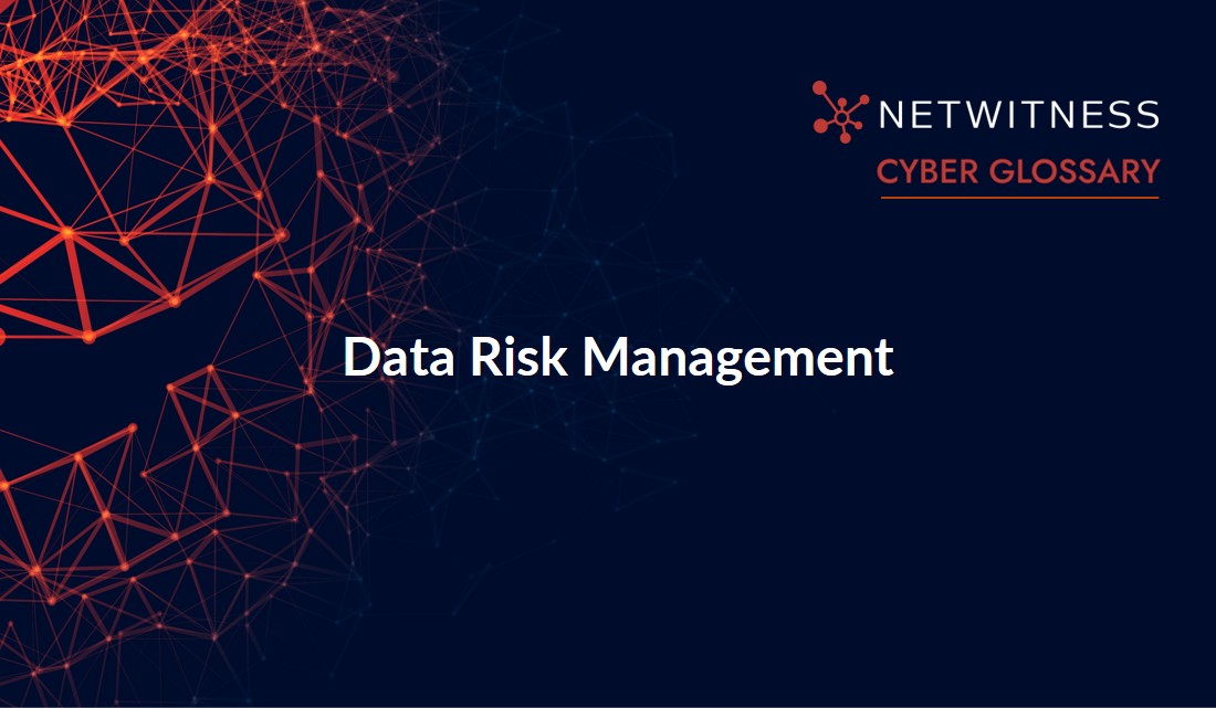 Data Risk Office What Is Data Risk Management? | NetWitness